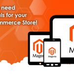 Here’s why you need SEO professionals for your magneto e-commerce store!