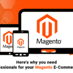 Here’s why you need SEO professionals for your magneto e-commerce store!